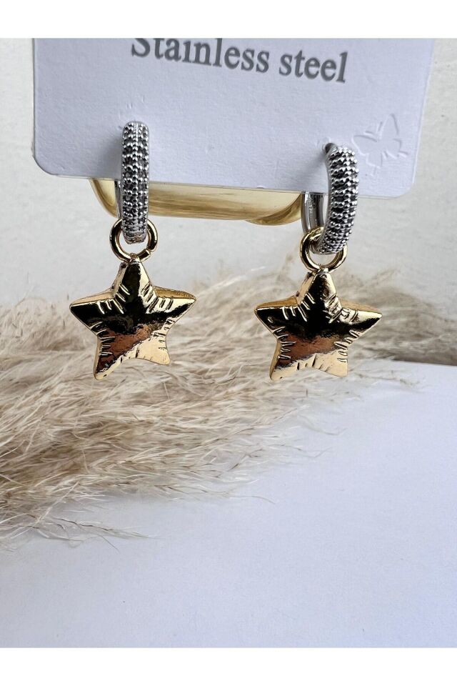 Taşlı Salantılı Yıldız Kadın Küpe