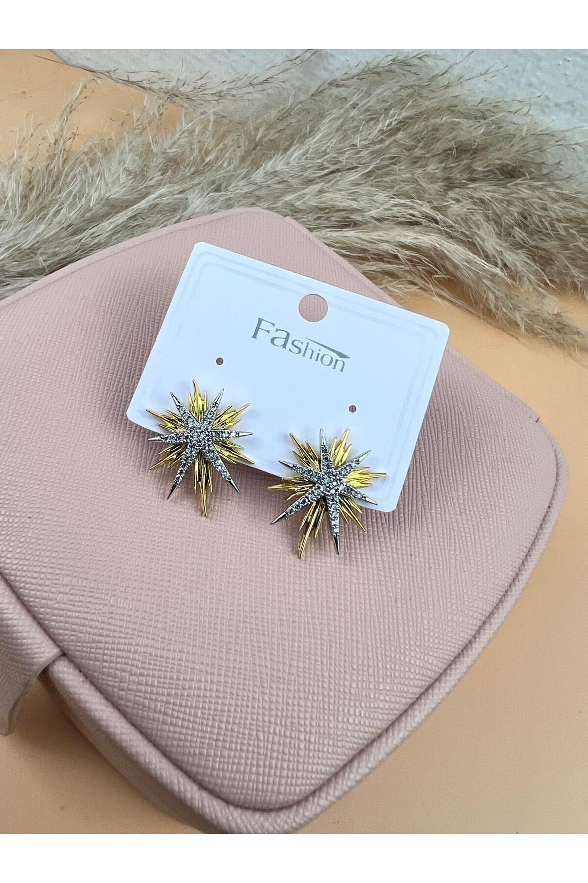 Taşlı Kutup Yıldızı Küpe Çift Renk Küpe